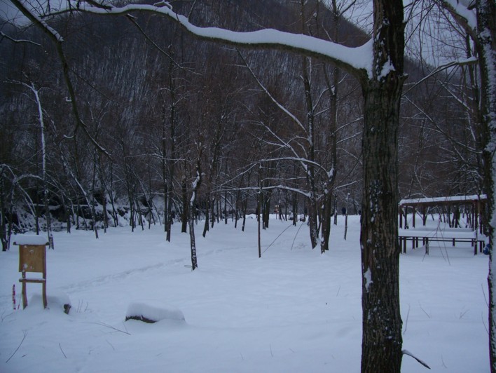  Image name: molino 2008 307.jpg 
 width: 708 pixel 
 height: 532 pixel 
 Size: 102881 bytes 
 Click to enlarge 